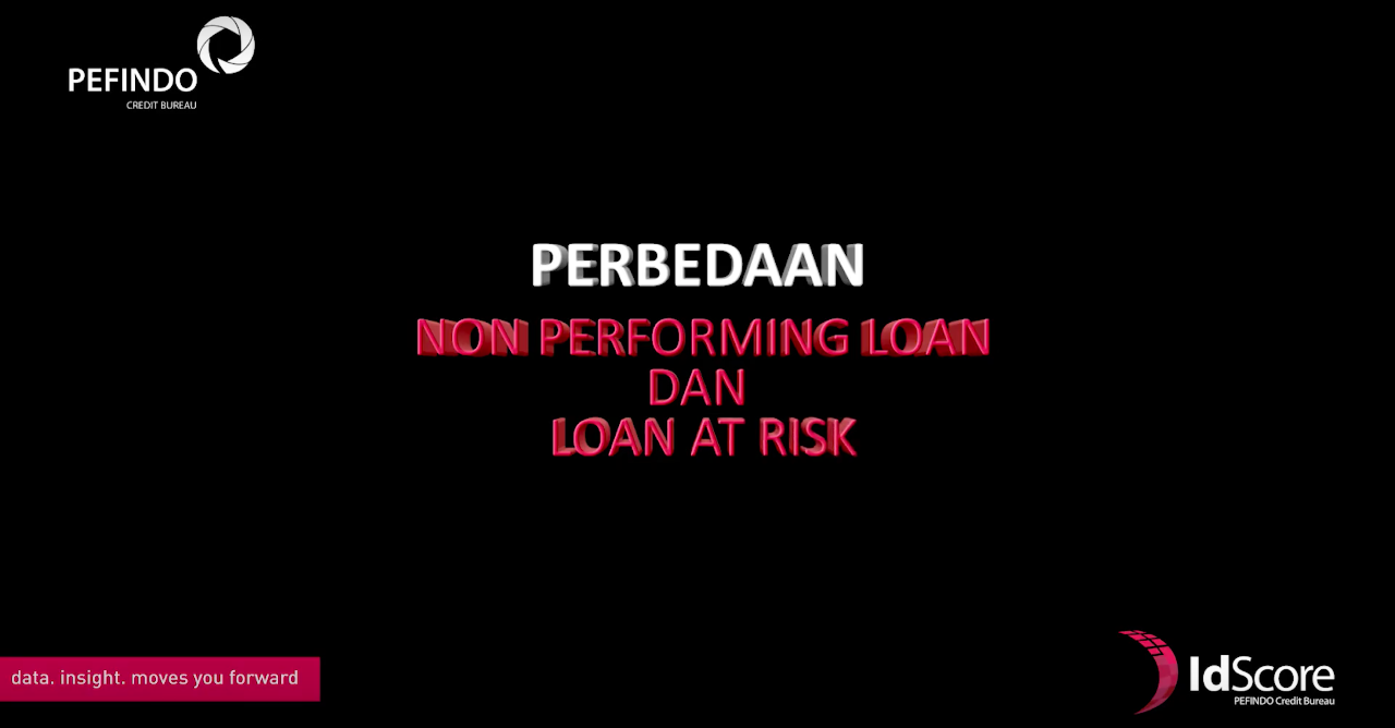 non performing loan